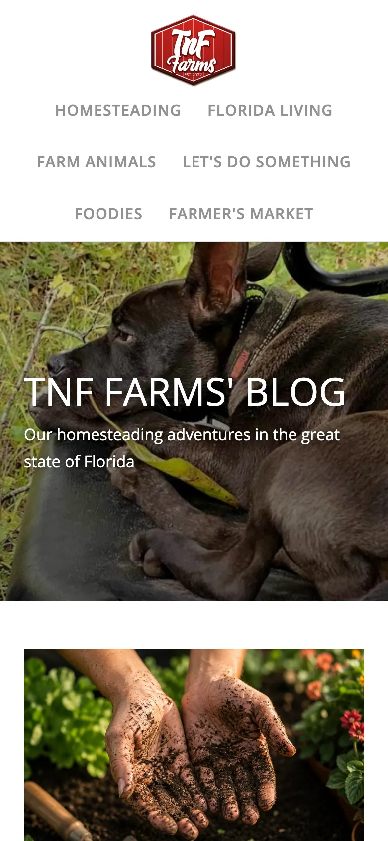 TnF Farms website on a phone